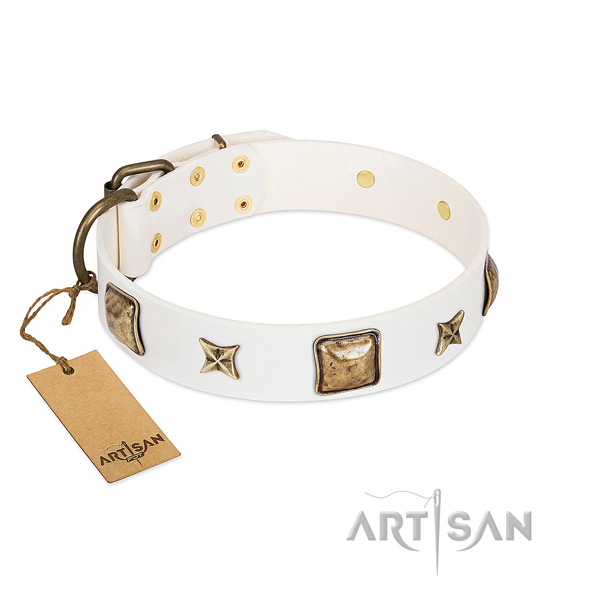Handmade full grain leather dog collar for fancy walking