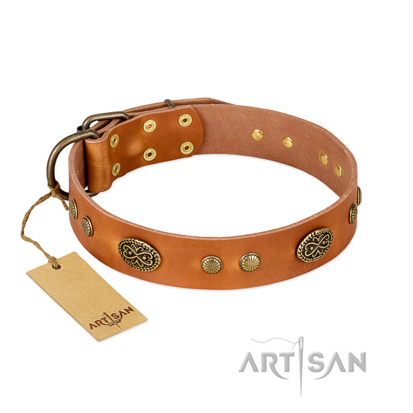 Strong decorations on full grain natural leather dog collar for your dog