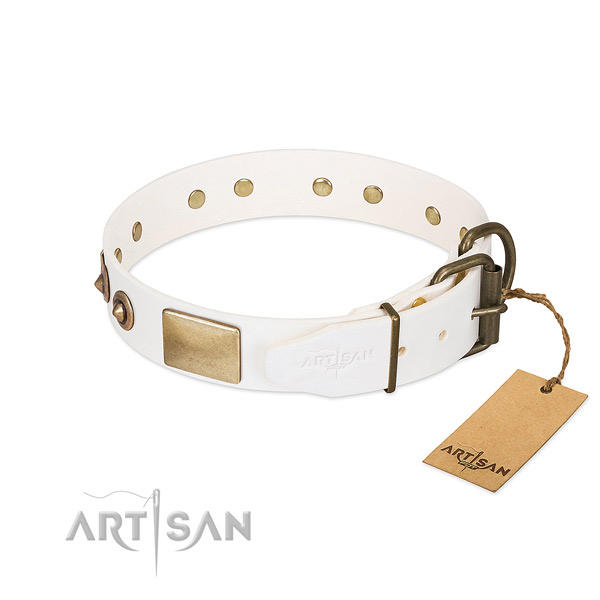 Rust resistant decorations on full grain natural leather dog collar for your doggie