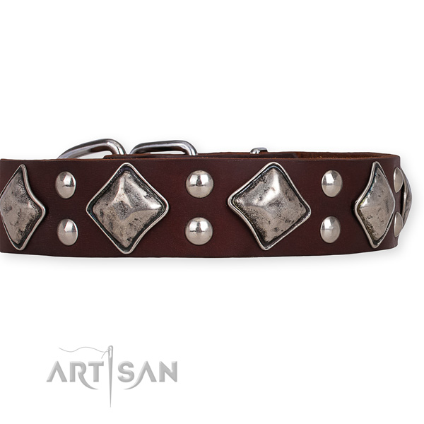 Full grain natural leather dog collar with designer durable embellishments