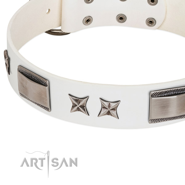 Best quality full grain leather dog collar with durable fittings