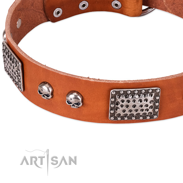 Corrosion proof adornments on natural genuine leather dog collar for your pet