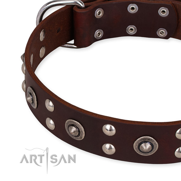 Full grain leather collar with rust-proof fittings for your lovely four-legged friend