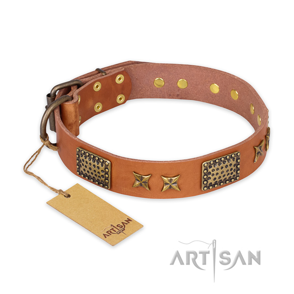 Trendy leather dog collar with rust resistant hardware