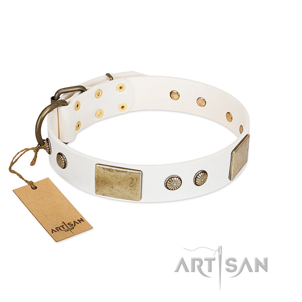 Adjustable full grain natural leather dog collar for stylish walking your pet