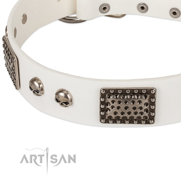 Reliable buckle on natural genuine leather dog collar for your pet