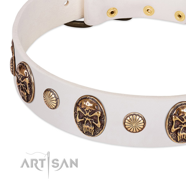 Corrosion resistant embellishments on leather dog collar for your pet