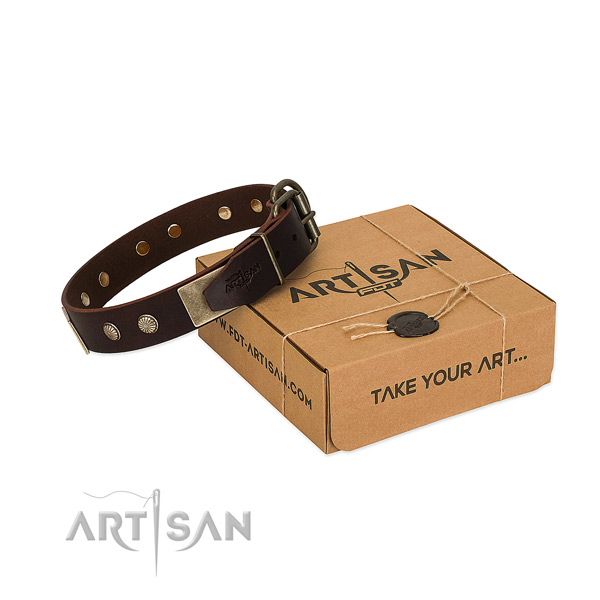 Durable decorations on dog collar for daily walking