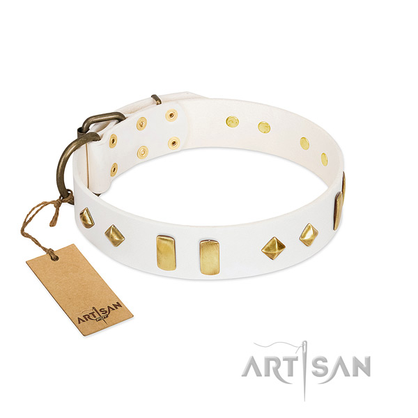 Everyday walking top notch full grain genuine leather dog collar with adornments