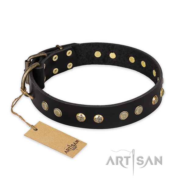 Exceptional full grain leather dog collar with durable fittings