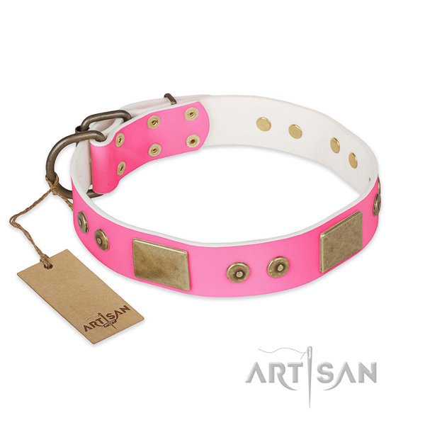 Easy adjustable full grain natural leather dog collar for everyday walking your pet