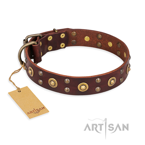 Top notch leather dog collar with rust resistant hardware