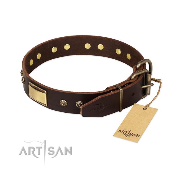Amazing leather collar for your dog