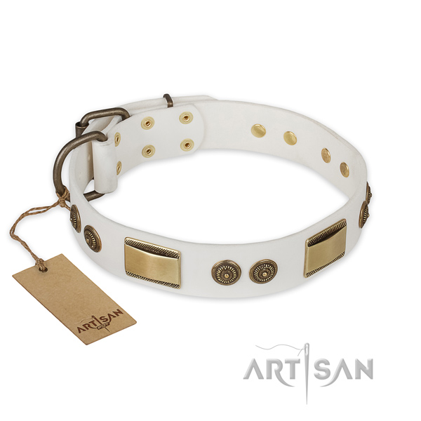 Significant genuine leather dog collar for walking