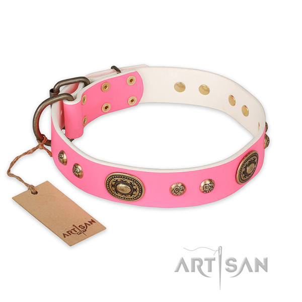 Extraordinary leather dog collar for stylish walking
