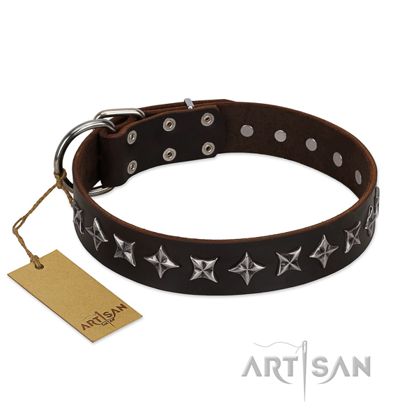 Basic training dog collar of reliable genuine leather with decorations