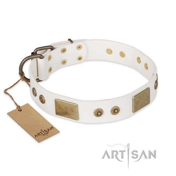 Best quality full grain genuine leather dog collar for basic training