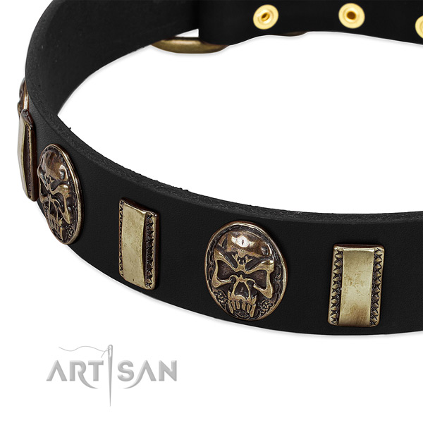 Rust resistant traditional buckle on full grain genuine leather dog collar for your pet