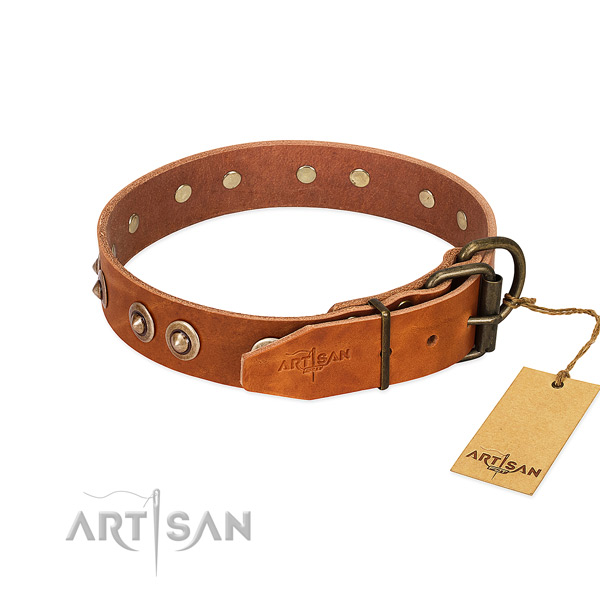 Corrosion resistant traditional buckle on full grain natural leather dog collar for your pet