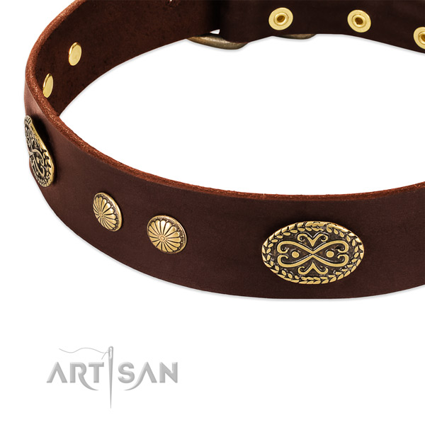 Strong embellishments on leather dog collar for your canine