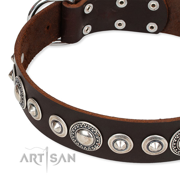 Comfy wearing decorated dog collar of durable full grain genuine leather