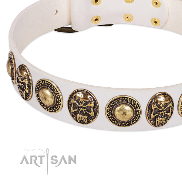 Rust-proof decorations on genuine leather dog collar for your canine