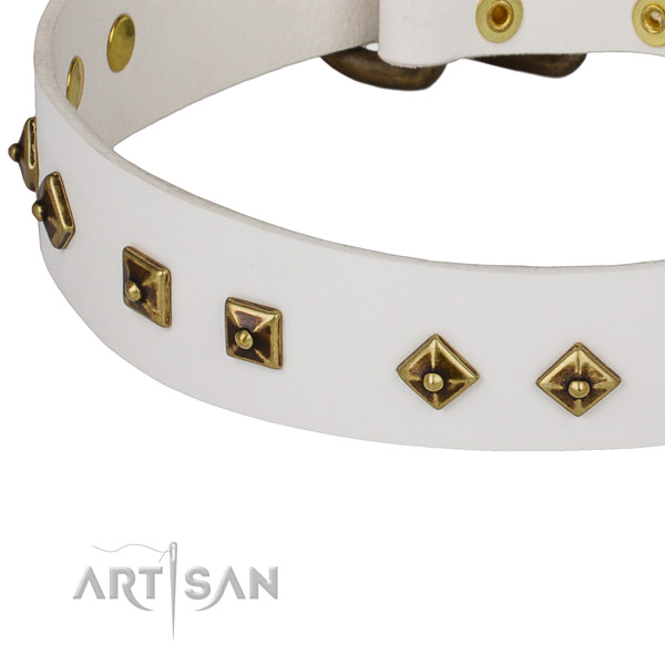 Impressive full grain leather collar for your impressive dog
