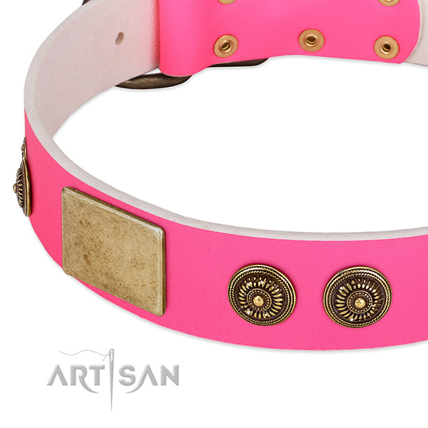 Stylish design dog collar handcrafted for your impressive canine