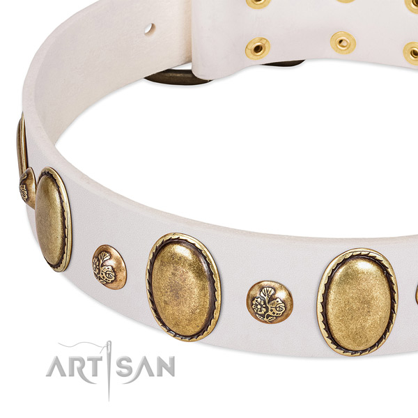 Full grain natural leather dog collar with trendy embellishments