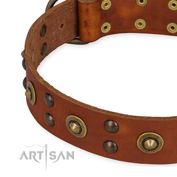 Full grain genuine leather collar with durable D-ring for your lovely pet