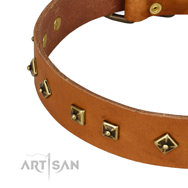 Incredible full grain leather collar for your beautiful four-legged friend
