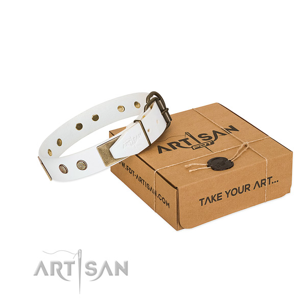 Durable D-ring on dog collar for easy wearing
