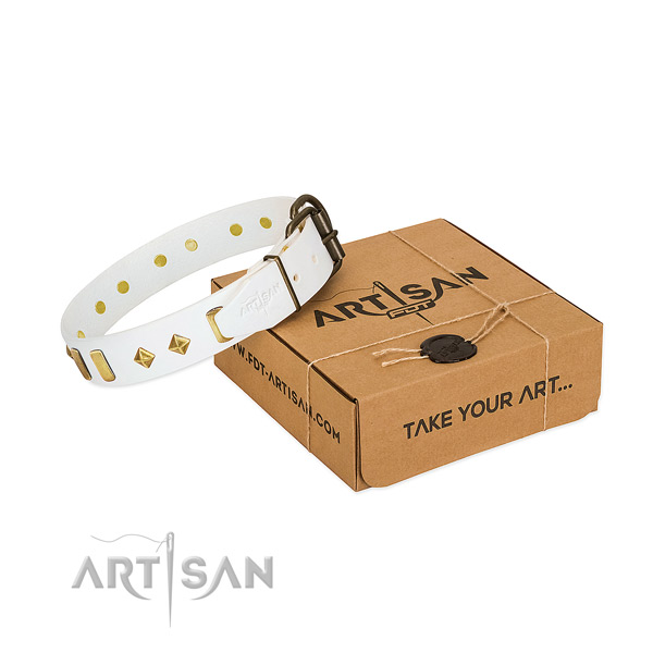 Soft full grain leather dog collar with durable buckle