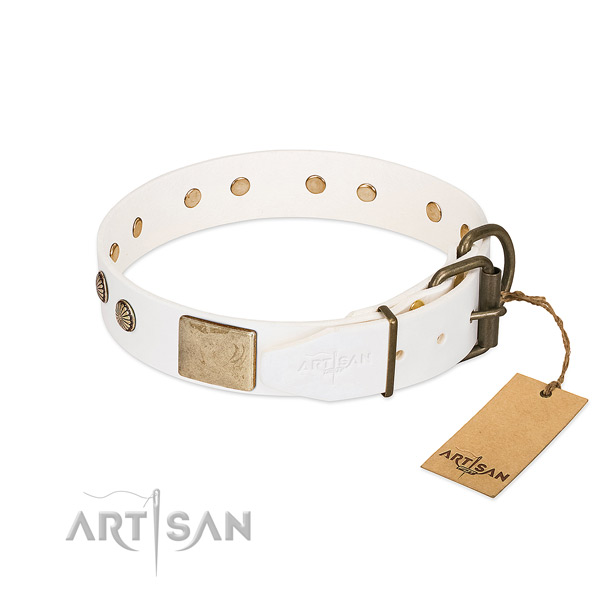 Durable studs on easy wearing dog collar