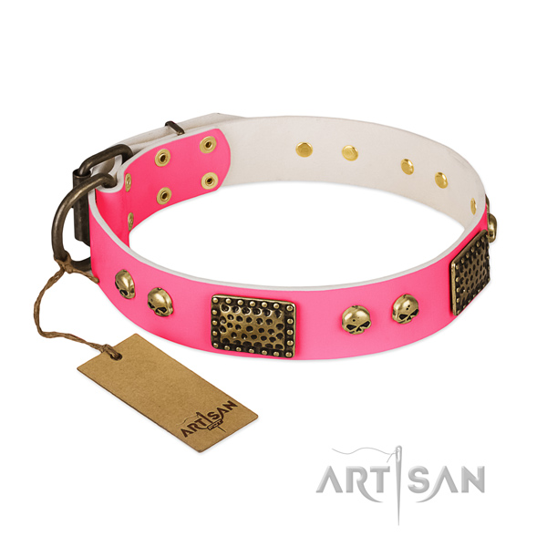 Easy wearing genuine leather dog collar for everyday walking your canine