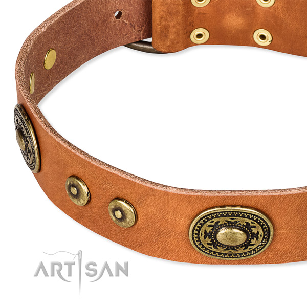 Full grain leather dog collar made of gentle to touch material with adornments