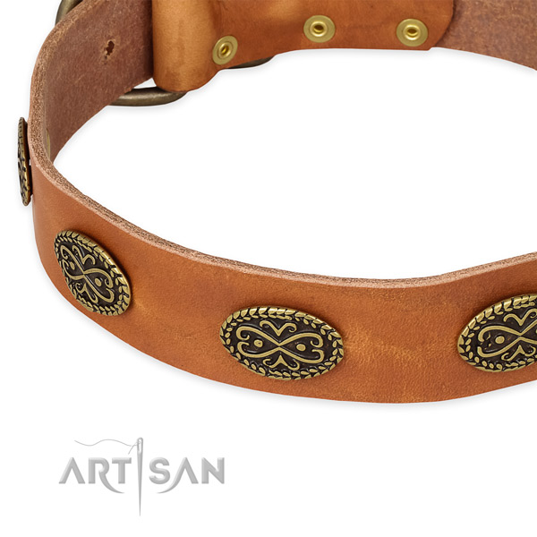 Extraordinary full grain leather collar for your stylish doggie