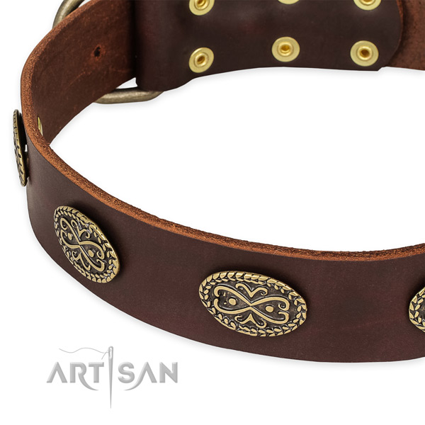 Amazing leather collar for your stylish doggie