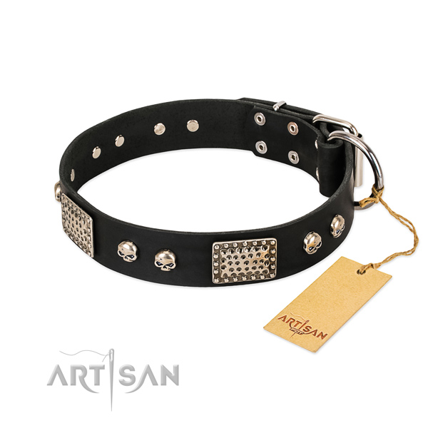 Easy wearing full grain genuine leather dog collar for everyday walking your canine