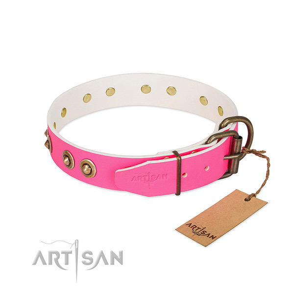 Leather dog collar with strong hardware and studs
