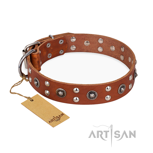 Stylish walking easy adjustable dog collar with corrosion proof buckle