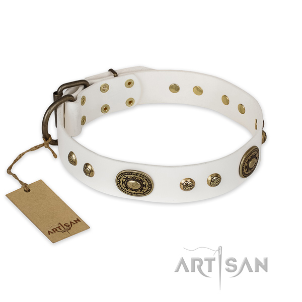 Fine quality natural genuine leather dog collar for basic training