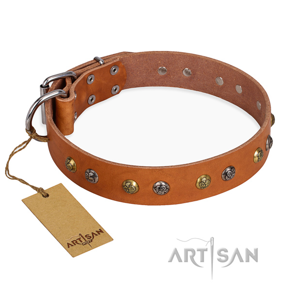 Fancy walking stylish design dog collar with strong buckle