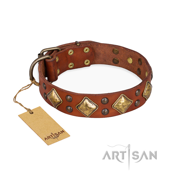 Everyday walking inimitable dog collar with rust resistant fittings