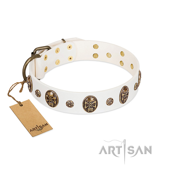 Trendy full grain leather collar for your canine