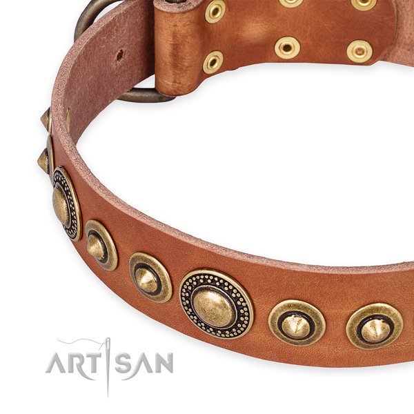 High quality full grain natural leather dog collar made for your impressive pet