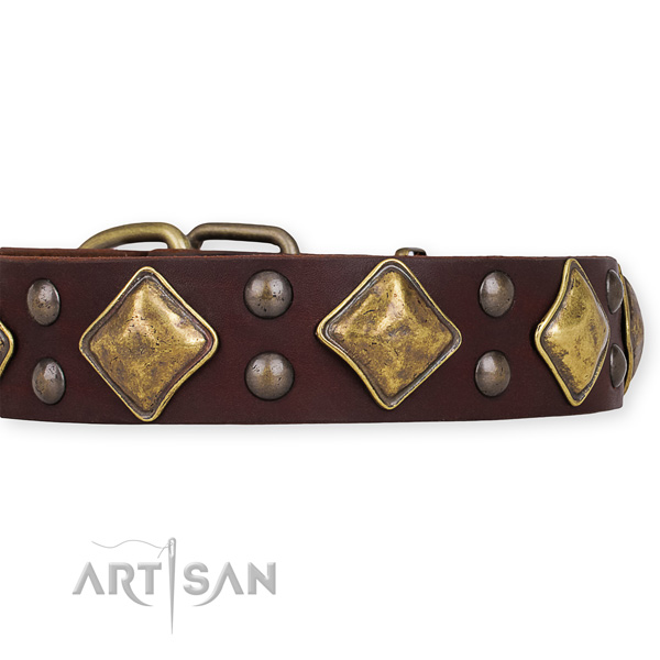 Genuine leather dog collar with stunning rust-proof adornments