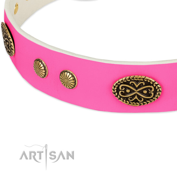 Durable adornments on full grain natural leather dog collar for your doggie