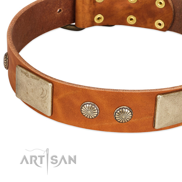 Corrosion resistant D-ring on leather dog collar for your pet