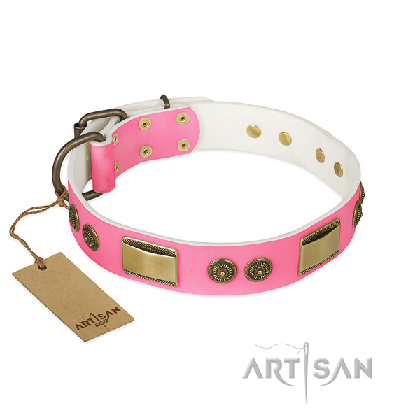 Inimitable full grain leather dog collar for everyday walking